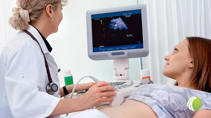 Cuidados com a gravidez da pré-concepção ao pré-natal – Medclin